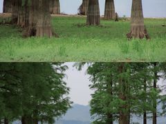 -四明山国家森林公园