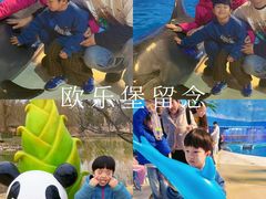 -泉城欧乐堡海洋极地世界