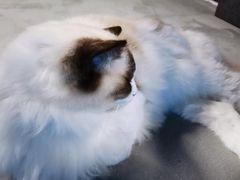 -零纪元VR体验馆·桌游(黄浦店)