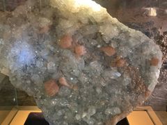 -陕西自然博物馆