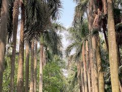 -华南国家植物园-售票处