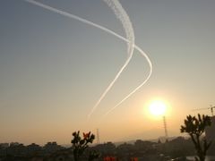 -三水森林公园