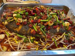 -西域美食兰州老马拉面(顺沙路辅路店)