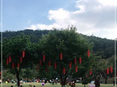 -火炉山森林公园