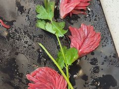 -钢管厂五区小郡肝串串香火锅(梅川路店)