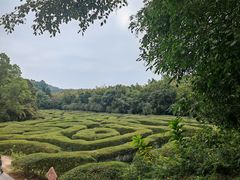 -大屏嶂森林公园