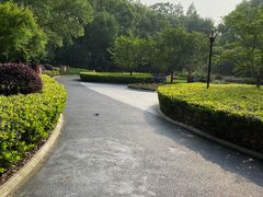 -徐家汇源景区-衡山公园