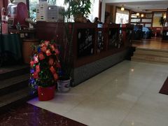 -OLD TREE老树咖啡·西餐厅(台山人工湖店)