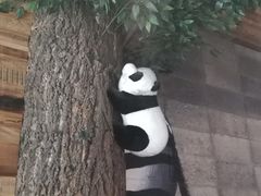 -雨舍咖啡(汉神购物广场咖啡街区店)