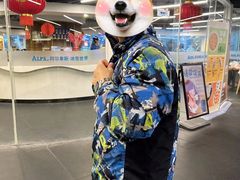 -世界之窗阿尔卑斯冰雪世界