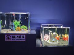 -重庆欢乐海底世界
