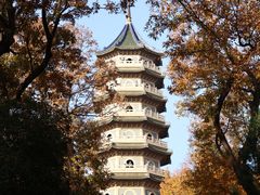 -灵谷景区