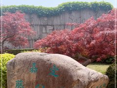 -嘉定紫藤园