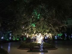 -杭州第一世界大酒店·云曼温泉