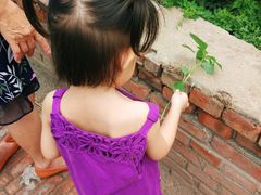 -大韩庄韩氏祖传正骨