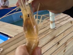 -小象钓虾·营地烧烤(洛溪店)