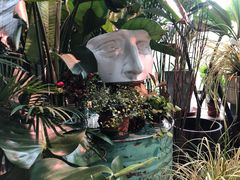 -甲乙果 美术书法(通州校区)