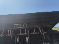 -大唐贡茶院