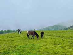 -硗碛藏寨·神木垒景区