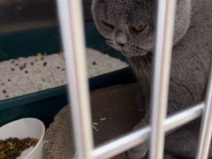 -宠福鑫康馨动物医院·骨科·眼科