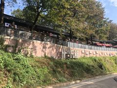 -茶颜悦色(岳麓山顶店)
