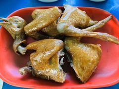 -光明刘冰乳鸽店(光明法政北路店)