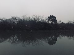 -木守西溪溪隐餐厅