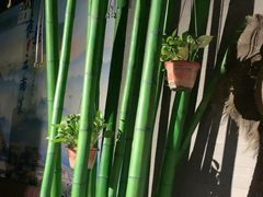 -雀舞云南菜(天津天河城购物中心店)