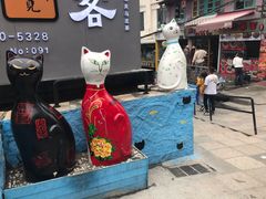 -猫咪博物馆(顶澳仔猫街店)