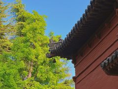 -洛阳白马寺