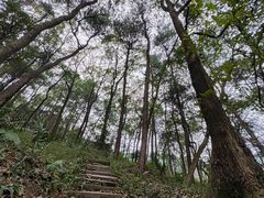 -南山植物园