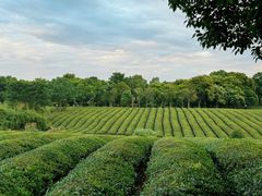 -敬亭山风景名胜区