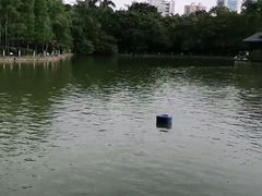 -金花茶公园