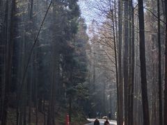 -山王坪喀斯特国家生态公园