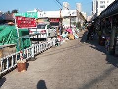 -长宁东道花卉宠物市场