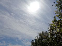 -鼎泰丰(嘉年华•海信广场VILLAGE店)