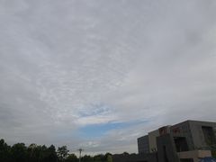 -河南财经政法大学(郑东校区)