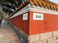 -八大关景区