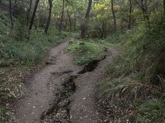 -高尔山公园