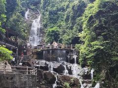 -鼎湖山风景区