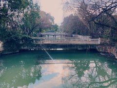 -上海佘山国家森林公园西佘山园