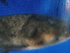 -香山湖渔家大院