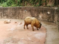 -杭州野生动物世界