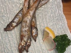 -王鼎精致料理铁板烧(世博源店)