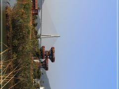 -芒洲湿地公园