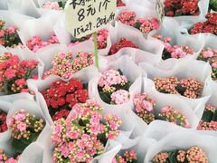 -秦美花卉(天朗·莱茵小城2期店)