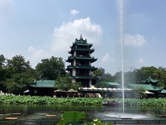 -桂湖森林公园