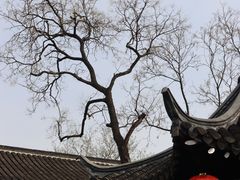 -个园