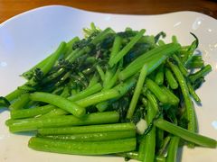 -聚雅美食