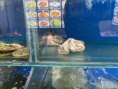水产区-小船渔村•大连菜•大连焖鱼(明泽街店)